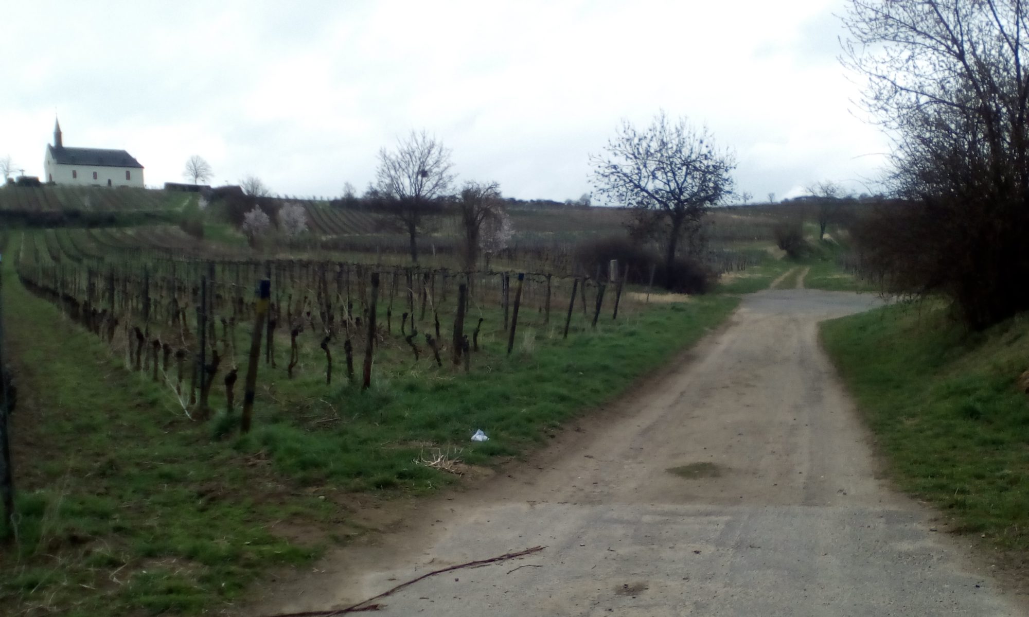 Live Around Abenheim